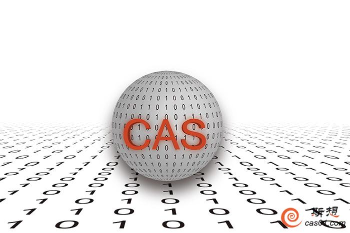 CAS系统思考法：让一切变得更高效 元CAS 第1张