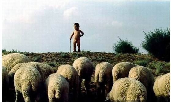 放羊娃的一生：活着的意义 哲学·斯想 第1张